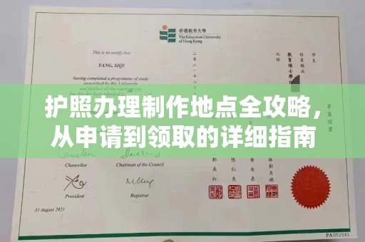新野护照办理制作地点全攻略，从申请到领取的详细指南